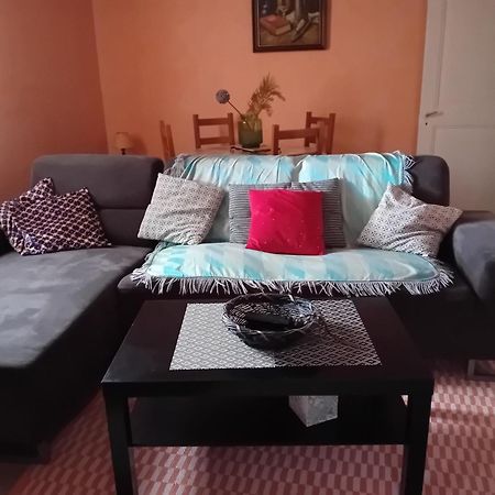 Appartement Spacieux Dans Joli Village Alsacien Chatenois  Bagian luar foto