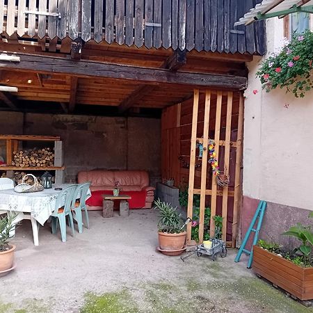 Appartement Spacieux Dans Joli Village Alsacien Chatenois  Bagian luar foto