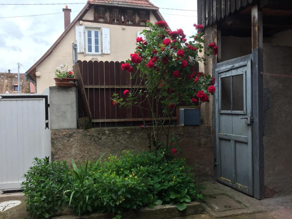 Appartement Spacieux Dans Joli Village Alsacien Chatenois  Bagian luar foto