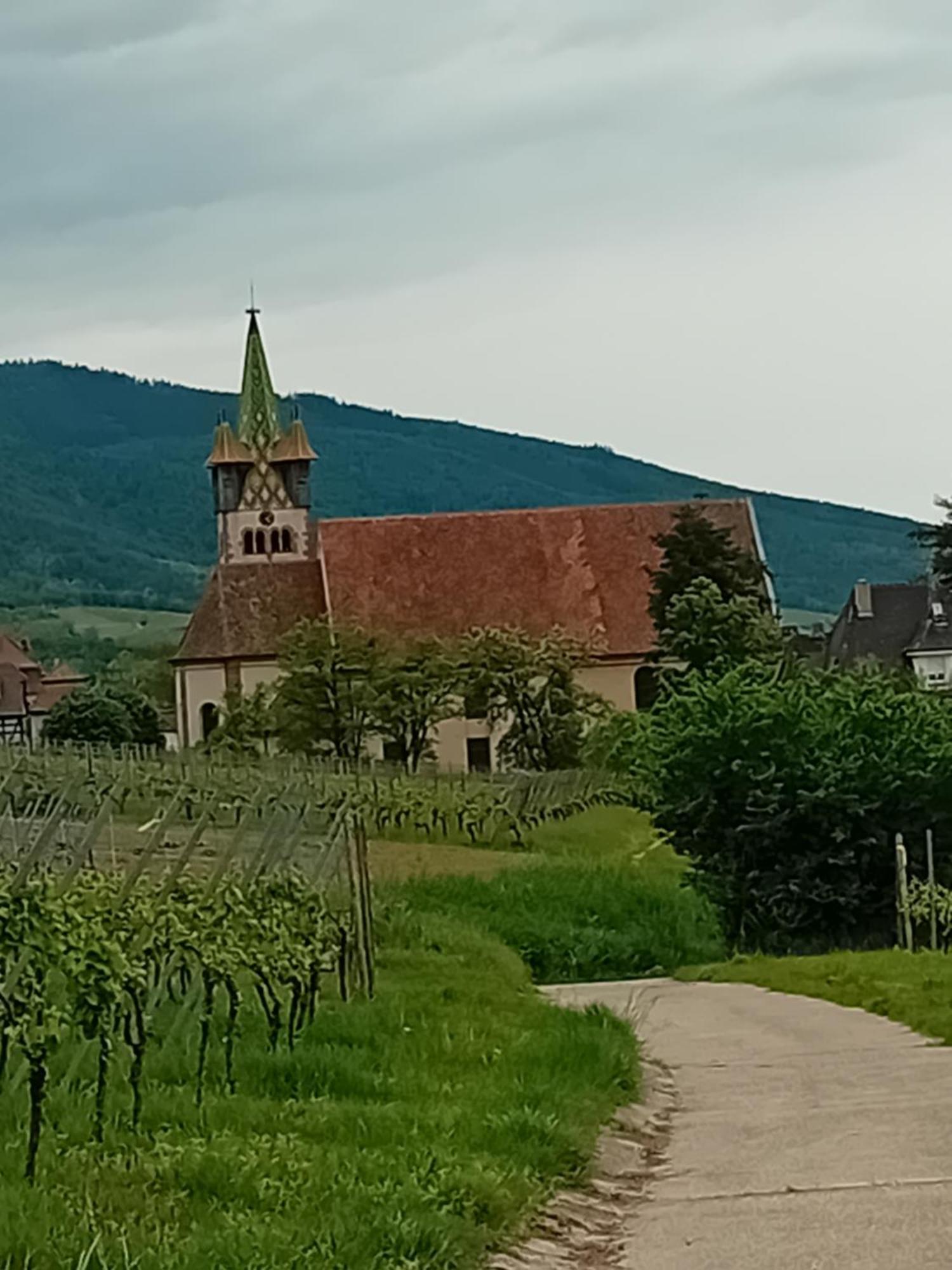 Appartement Spacieux Dans Joli Village Alsacien Chatenois  Bagian luar foto