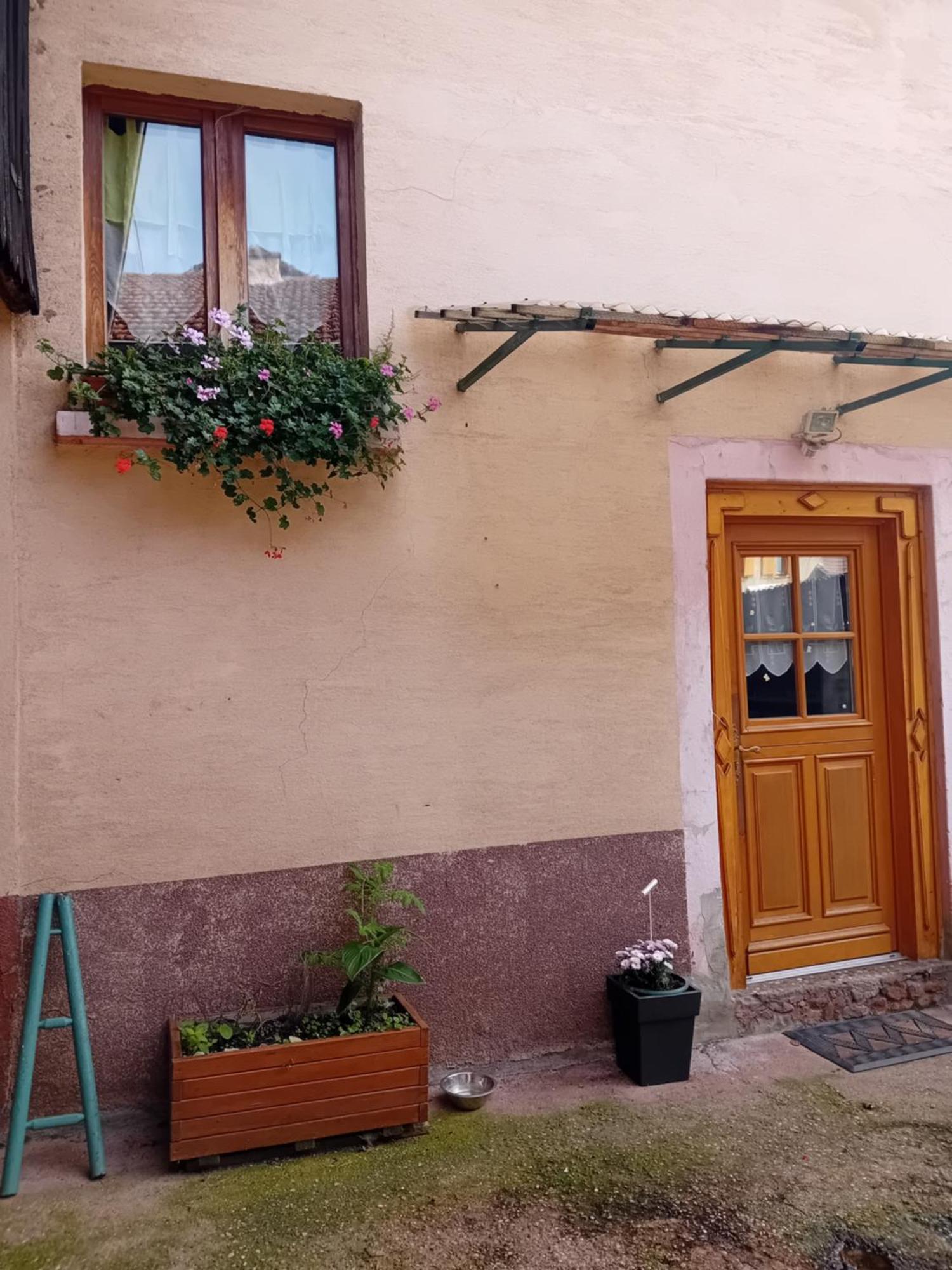 Appartement Spacieux Dans Joli Village Alsacien Chatenois  Bagian luar foto