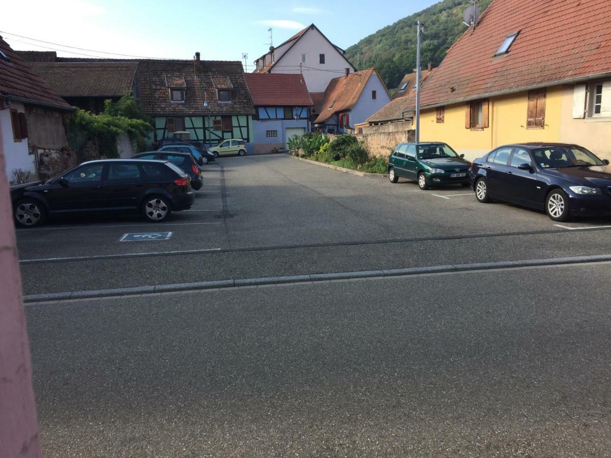 Appartement Spacieux Dans Joli Village Alsacien Chatenois  Bagian luar foto